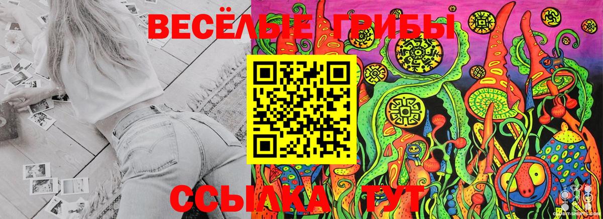 Галлюциногенные грибы GOLDEN TEACHER  где найти наркотики  Галлюциногенные грибы MAGIC MUSHROOMS  Кировск  Вход с VPN 