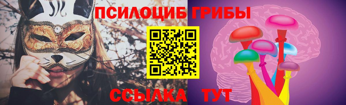 Галлюциногенные грибы мухоморы Кировск